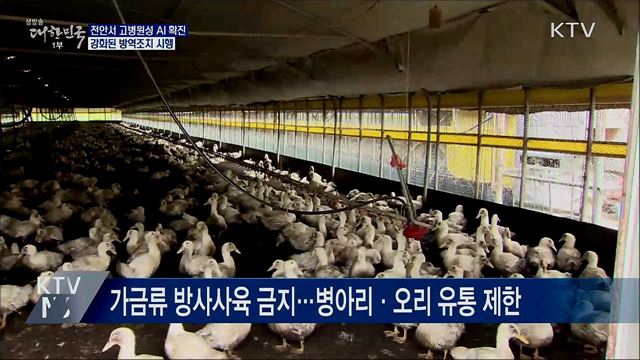 천안서 고병원성 AI 확진···강화된 방역조치 시행