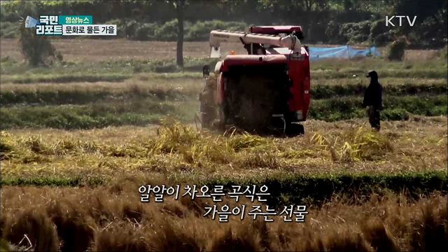 문화로 물든 마을 [한국의 美]