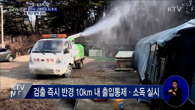 용인서 고병원성 AI 추가···차단 방역 강화