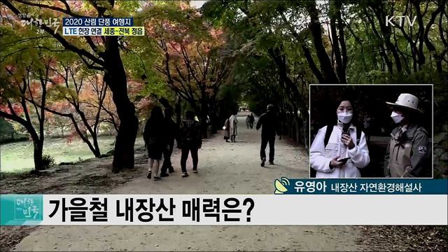 안전여행 주간, 2020 산림 단풍 여행지