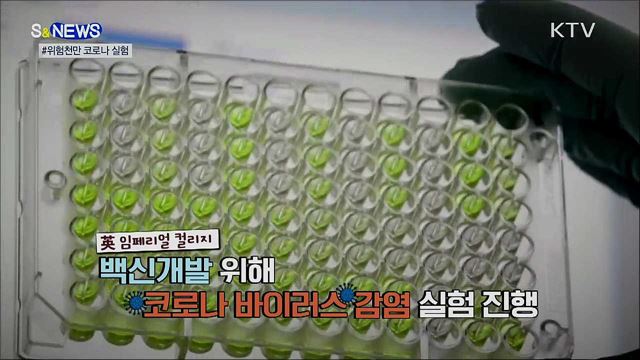 고의로 코로나19 감염?···논란의 실험 강행 [S&News]