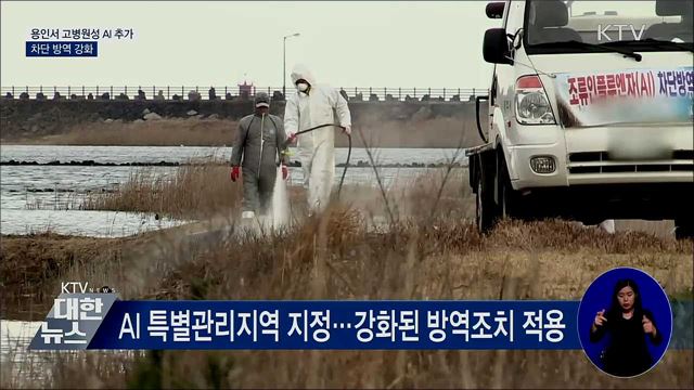 용인서 고병원성 AI 추가···차단 방역 강화