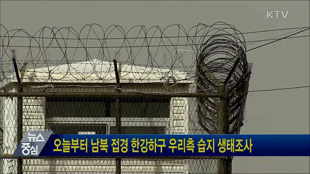 오늘부터 남북 접경 한강하구 우리측 습지 생태조사