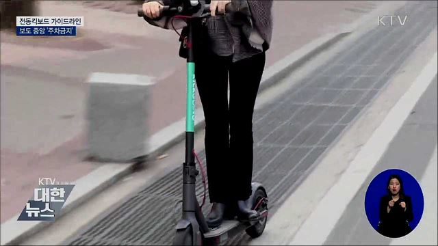 보도 중앙 '주차금지'···가이드라인 마련