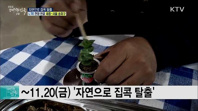 숲과 함께 휴식과 치유를! 자연으로 집콕 탈출