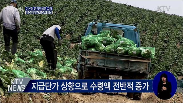 기본형 공익직불금 지급···중소규모농가 소득 안정