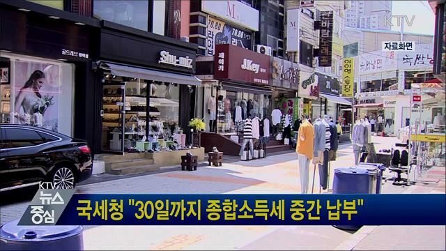 국세청 "30일까지 종합소득세 중간 납부"