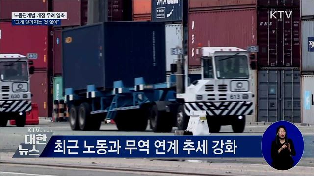 "노동관계법 개정돼도 크게 달라지는 것 없어"