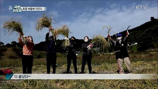 '맛의 방주' 등재···토종쌀 버들벼 지킨다