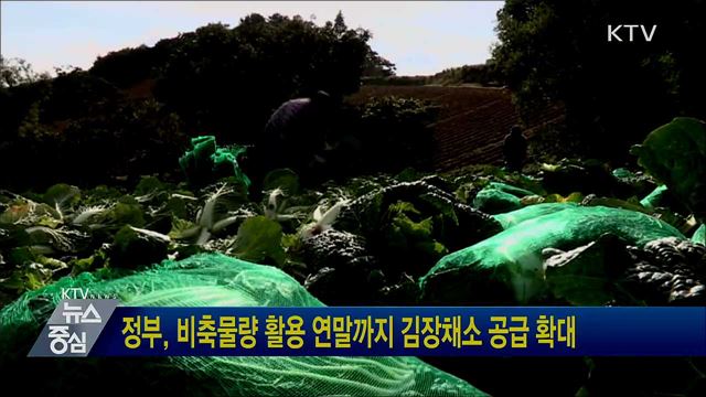 정부, 비축물량 활용 연말까지 김장채소 공급 확대