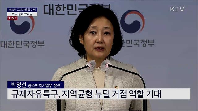 규제자유특구위 회의 결과 브리핑