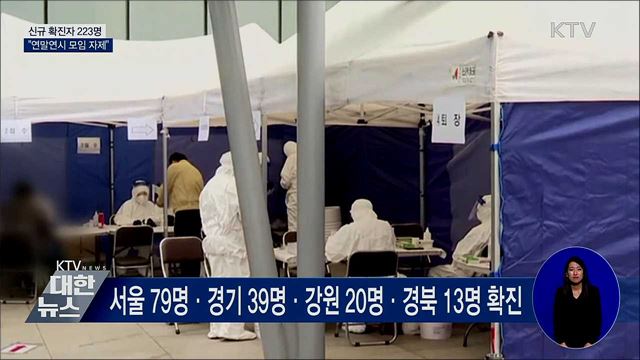 신규 확진 223명···"연말연시 모임 자제"