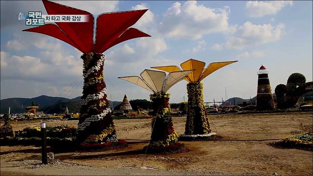 차 타고 국화 구경···'차량 이동형' 마산국화전시회