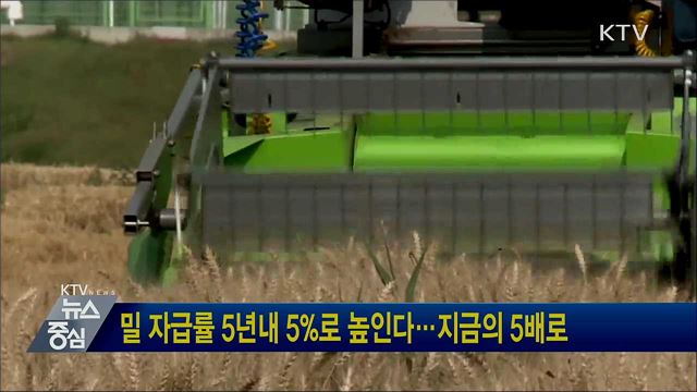 밀 자급률 5년내 5%로 높인다···지금의 5배로