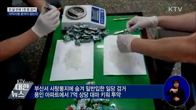 한 달 만에 1천 명 검거···'마약사범 끝까지 잡는다'