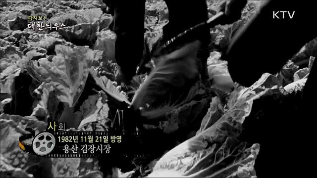 다시보는 대한늬우스 (82. 11. 21)