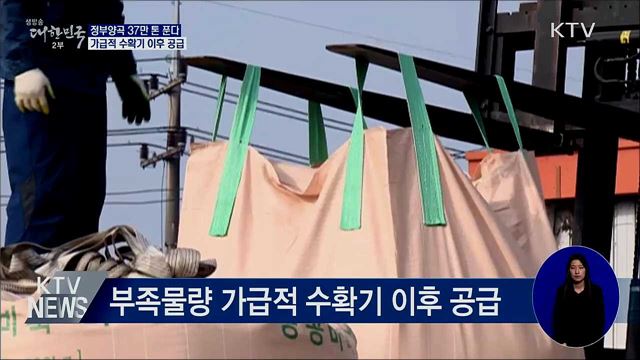 정부양곡 37만 톤 푼다···수확기 이후 공급