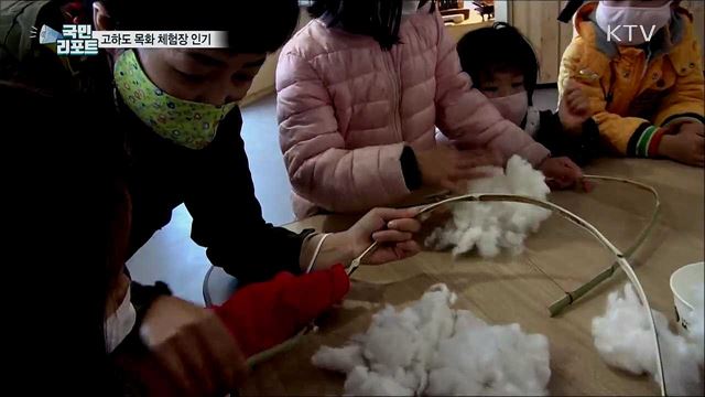 목포 고하도 '목화 체험장' 방문객 줄이어