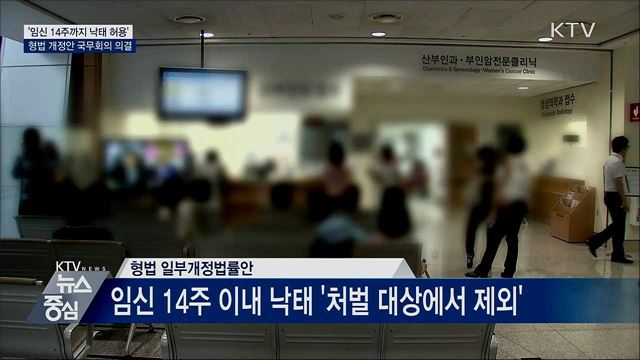 '임신 14주까지 낙태 허용'···형법 개정안 의결