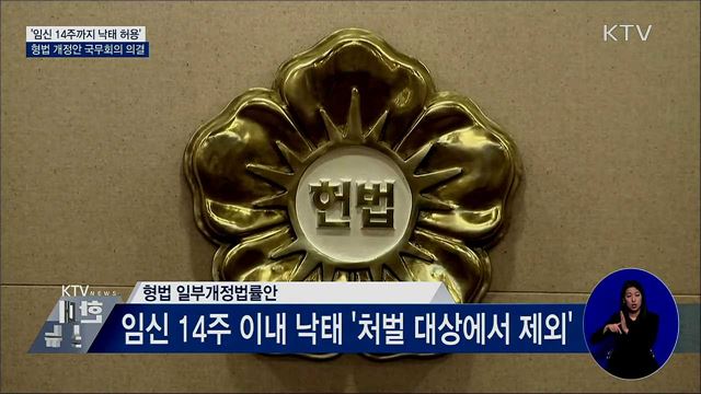 '임신 14주까지 낙태 허용'···형법 개정안 의결