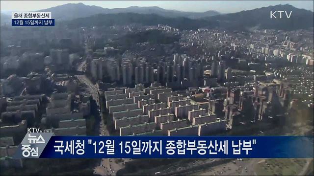 다음 달 15일까지 '종부세' 납부···기한 연장 가능