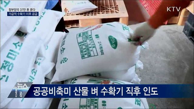 정부양곡 37만 톤 푼다···수확기 이후 공급