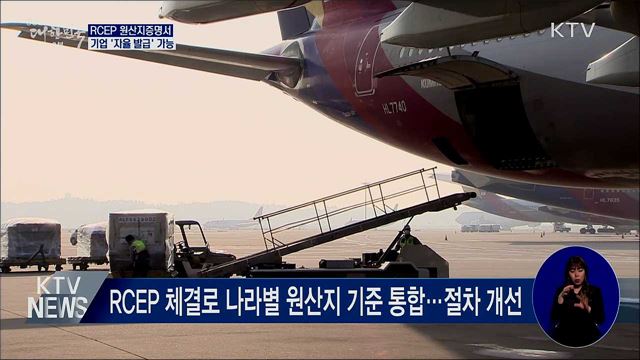 내년부터 RCEP 원산지증명서 기업 '자율 발급' 가능