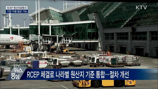내년부터 RCEP 원산지증명서 기업 '자율 발급' 가능