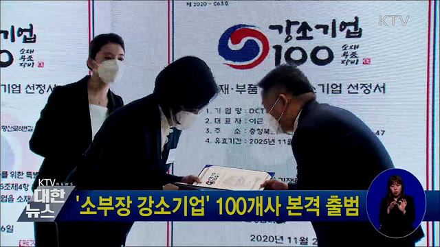 '소부장 강소기업' 100개사 본격 출범