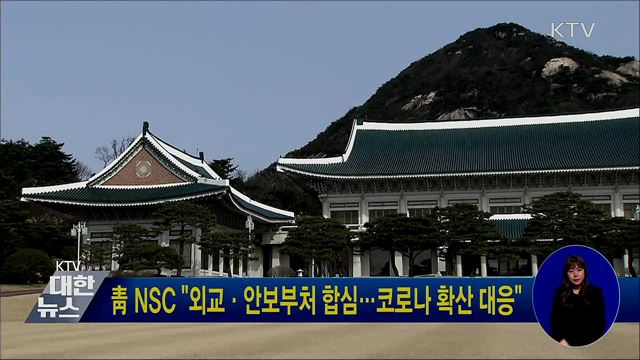 靑 NSC "외교·안보부처 합심···코로나 확산 대응"