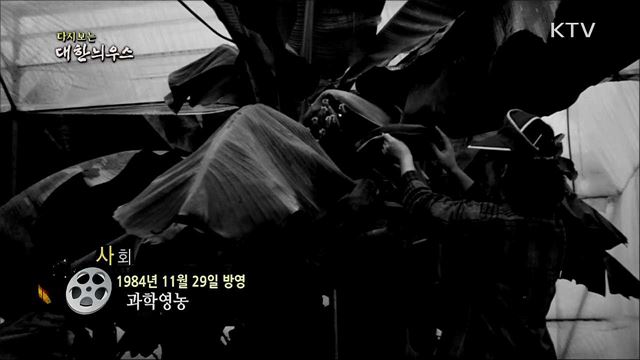 다시보는 대한늬우스 (84. 11. 29)