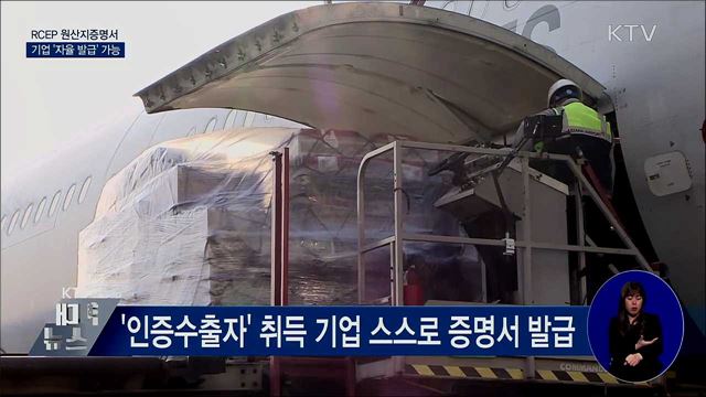 내년부터 RCEP 원산지증명서 기업 '자율 발급' 가능