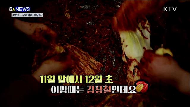 돌아온 김장철···빨간 고무대야 주의하세요! [S&News]