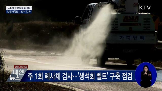 고병원성 AI '추가 확진'···밀집사육단지 방역 강화