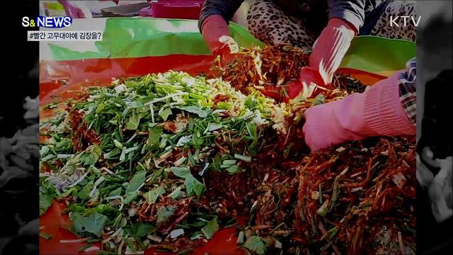 돌아온 김장철···빨간 고무대야 주의하세요! [S&News]