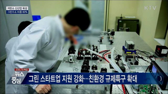 저탄소 신산업 육성···그린수소 비중 80%