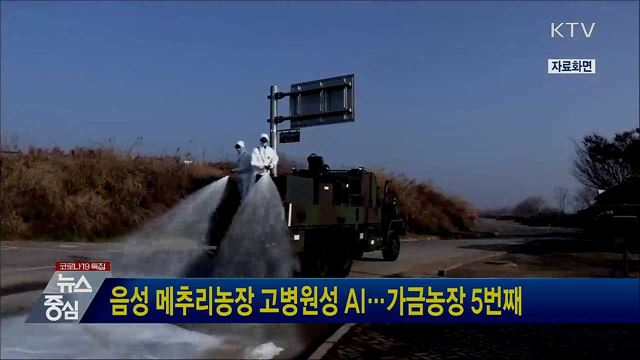 음성 메추리농장 고병원성 AI···가금농장 5번째