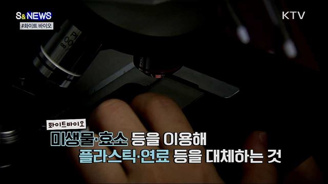 깨끗한 바이오가 대세···환경도 살리고 산업도 살리고 [S&News]