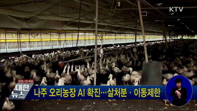 나주 오리농장 AI 확진···살처분·이동제한