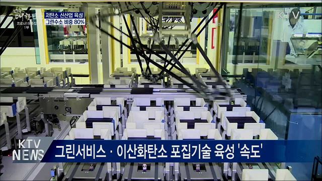 저탄소 신산업 육성···그린수소 비중 80%