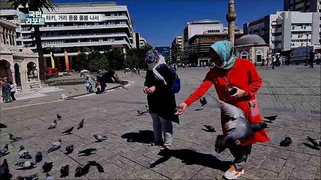 코로나19에 동물도 수난···터키, 거리 동물 돌봄 나서