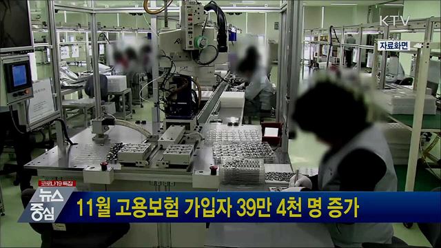 11월 고용보험 가입자 39만 4천 명 증가