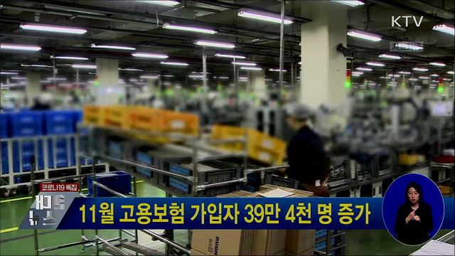 11월 고용보험 가입자 39만 4천 명 증가