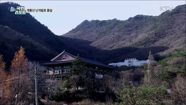 우후죽순 모텔 난립···국립공원 계룡산 난개발 몸살