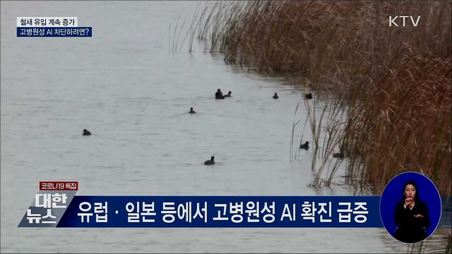 철새 유입 계속 증가···고병원성 AI 차단하려면?