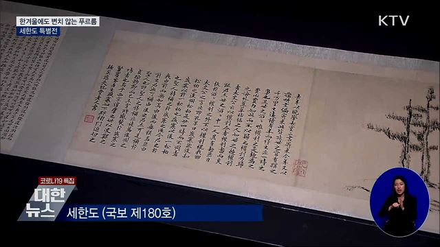 한겨울에도 변치 않는 푸르름···세한도 특별전