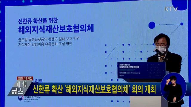 신한류 확산 '해외지식재산보호협의체' 회의 개최