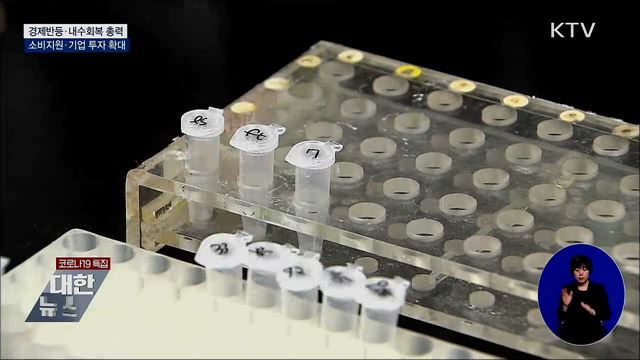 "확실한 경제반등 총력"···소비 지원·기업 투자 확대