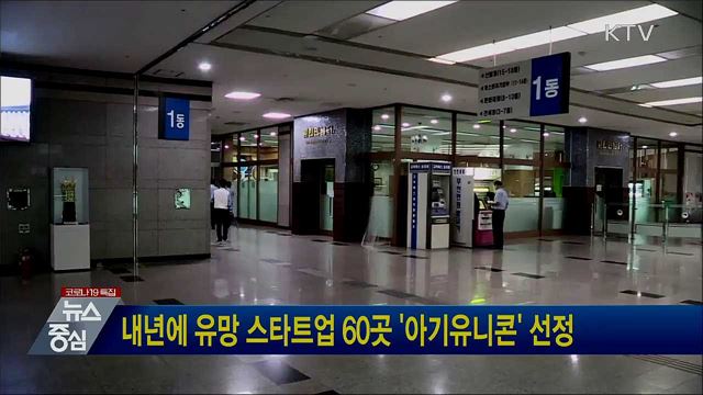 내년에 유망 스타트업 60곳 '아기유니콘' 선정