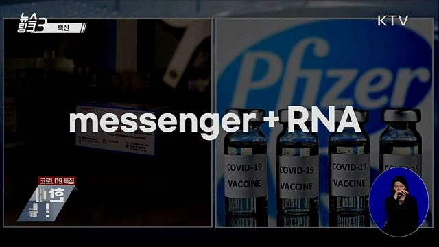 백신 [뉴스링크]